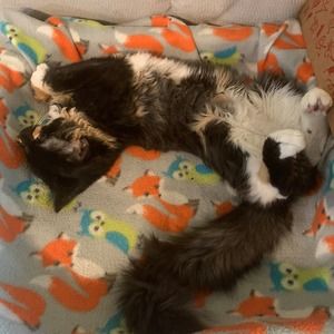 Meet your Posher, Holly